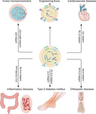 Macrophage-Derived Small Extracellular Vesicles in Multiple Diseases: Biogenesis, Function, and Therapeutic Applications